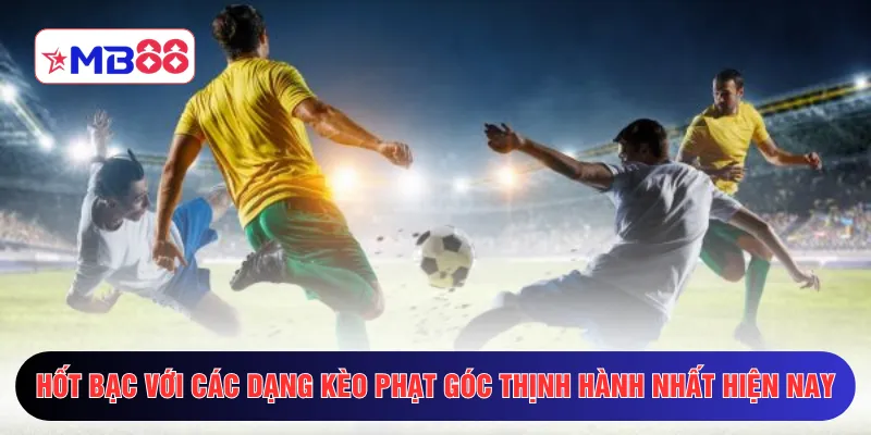 Hốt bạc với các dạng kèo phạt góc thịnh hành nhất hiện nay
